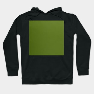 Green leather Hoodie